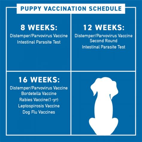  How can you save money on puppy shots? One way to save money on puppy vaccines is by visiting a low-cost vaccination clinic
